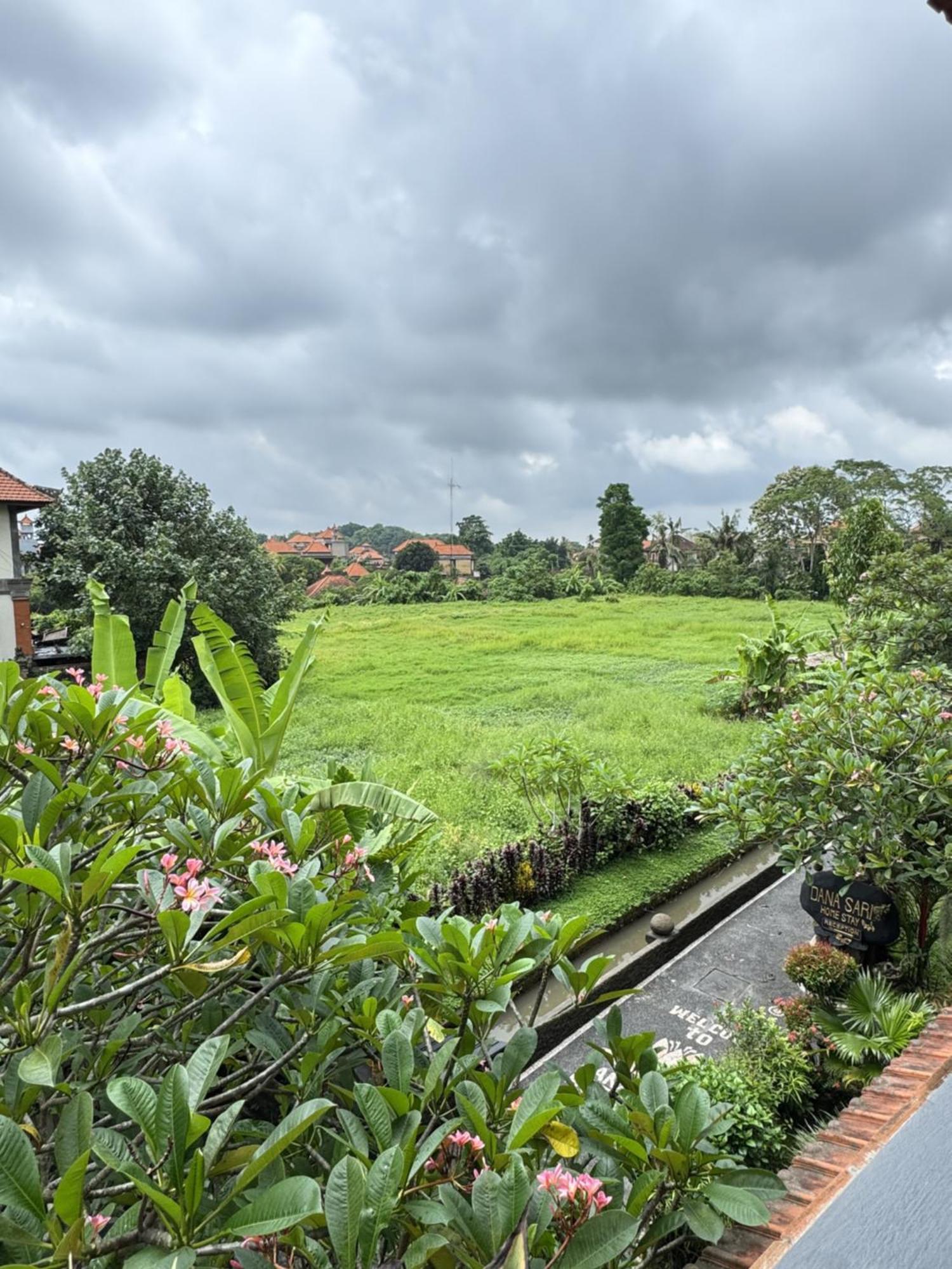 Danasari Homestay Ubud Kültér fotó