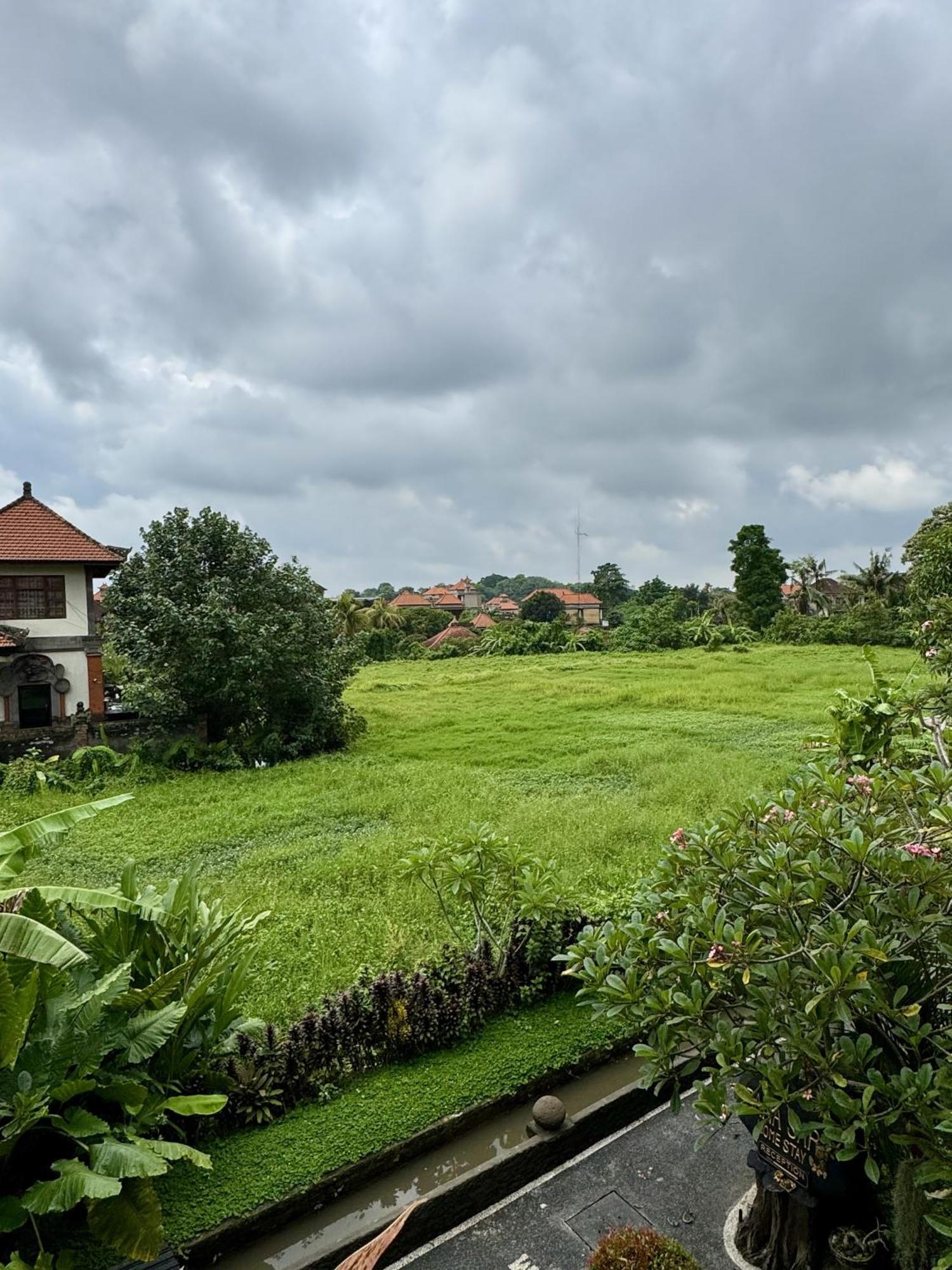Danasari Homestay Ubud Kültér fotó